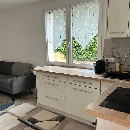 Duplex Oliveraie Piscine Au Sel Marin Et Parking Apartamento Niza