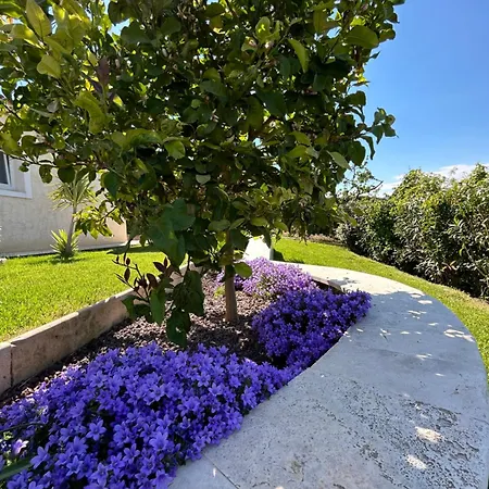 Duplex Oliveraie Piscine Au Sel Marin Et Parking * ניס