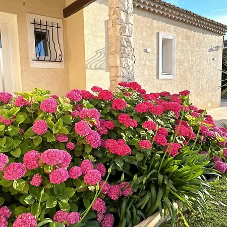 Duplex Oliveraie Piscine Au Sel Marin Et Parking דירה ניס