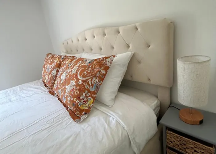 Duplex Oliveraie Piscine Au Sel Marin Et Parking * 尼斯