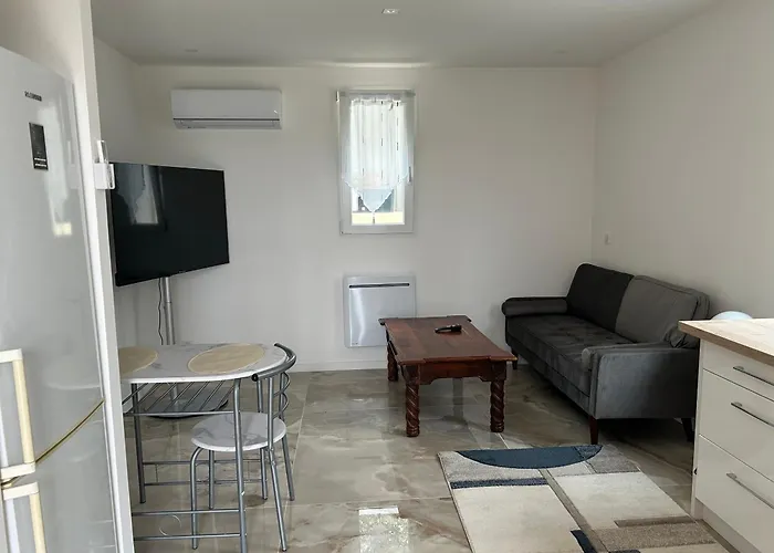 Duplex Oliveraie Piscine Au Sel Marin Et Parking 公寓 尼斯