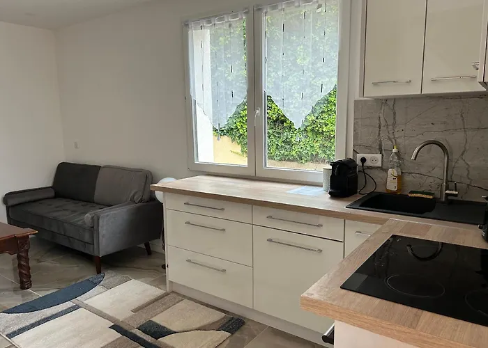 Duplex Oliveraie Piscine Au Sel Marin Et Parking 公寓 尼斯